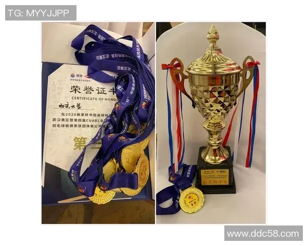 深圳羽毛球队与杭州羽毛球队赛后复盘分析团队配合与战术执行